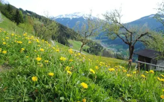Siedlerhof