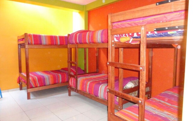 Iguana Hostel