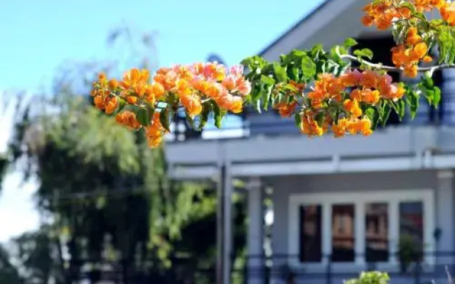 Stop And Go Flower Villa