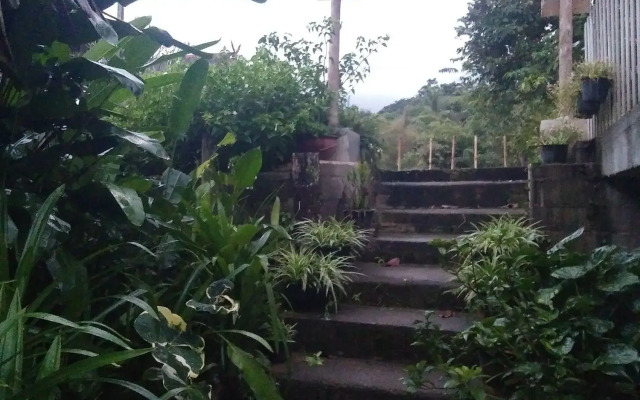 Honey Homestay