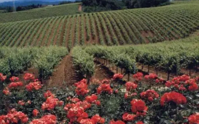 Agriturismo Tenuta la Marchesa