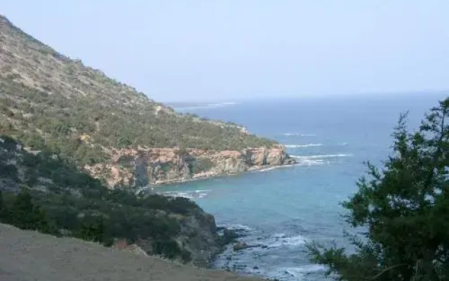 Papas Villa 3