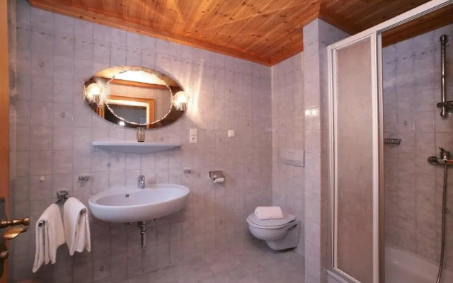 Premium Chalet Andrea