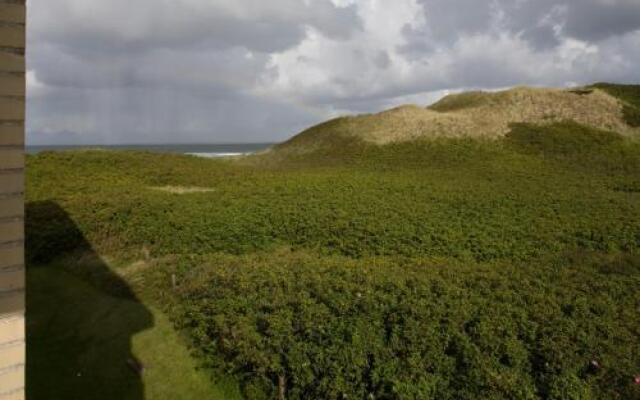 Premium Fewo Lachmöwe