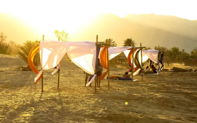 Ayla Camp