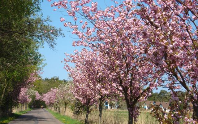Feriendomizil Am Hafen