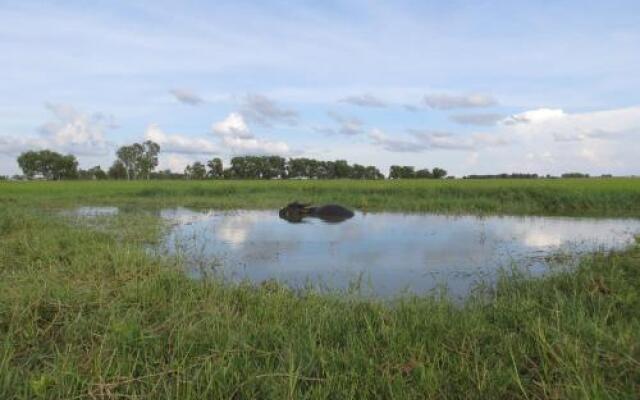 The Siem Reap Countryside