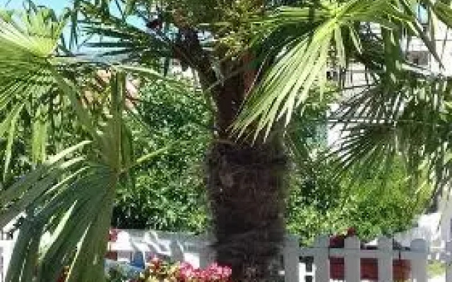 Guest House Rejjan