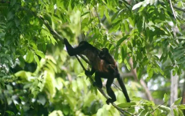 El Colibri Lodge