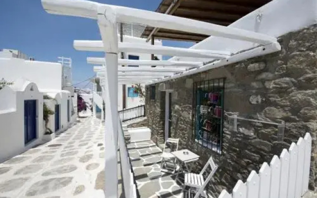 Hibiscus Rosa Mykonos