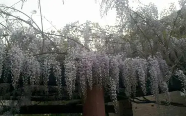 Bungalows Portal Pindó