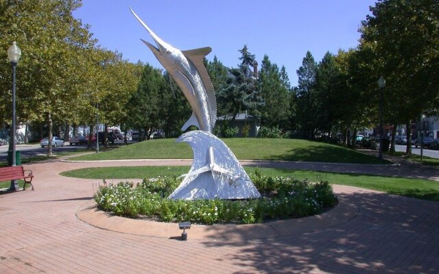 Sea Point 3 by RedAwning