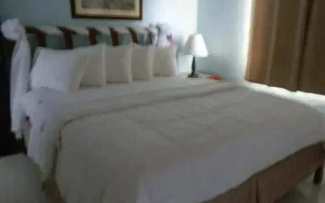 Selva Boutique Hotel - Luquillo Oceanfront Retreat