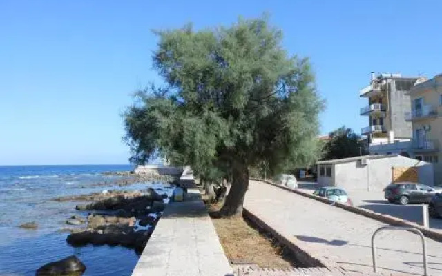 Il Gabbiano