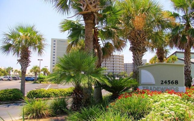 TradeWinds 408 by RedAwning