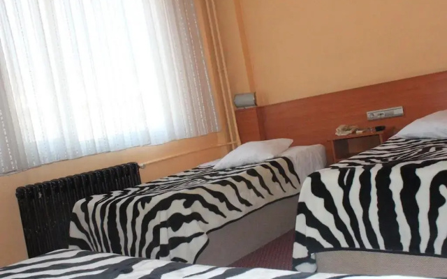 Hotel Altinnal