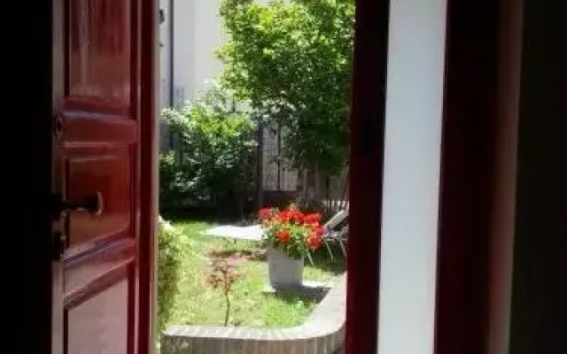 Dragonfly B&B