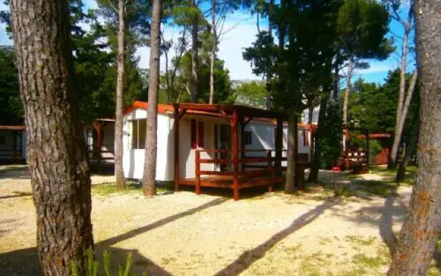 Camp Sibuljina