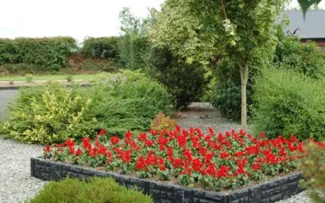 Lacken Lodge B&B