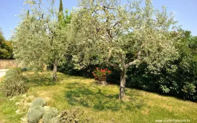 Azienda Agrituristica Il Sasso Di Maccari Avisano