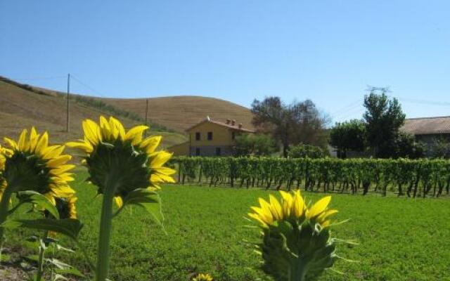 Agriturismo Podere Bellosguardo