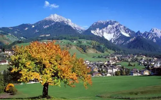 Alpine Chalet Sauter