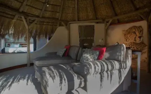 Okonjima Luxury Bush Camp