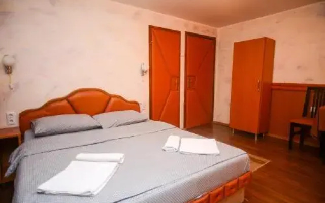 Pansion Kipovi