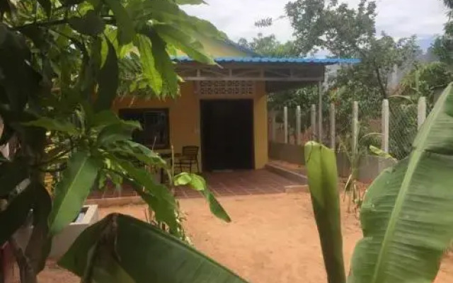 Dream Local Life Home Stay