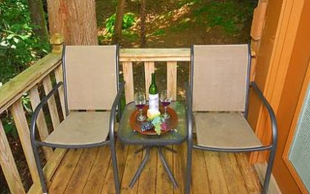 Creek Fever Creek Views