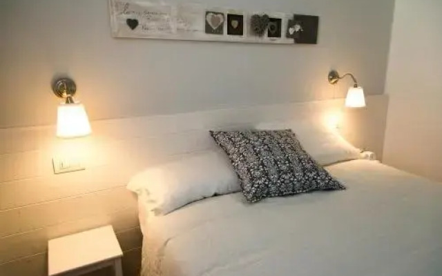 B&B Bucci 54