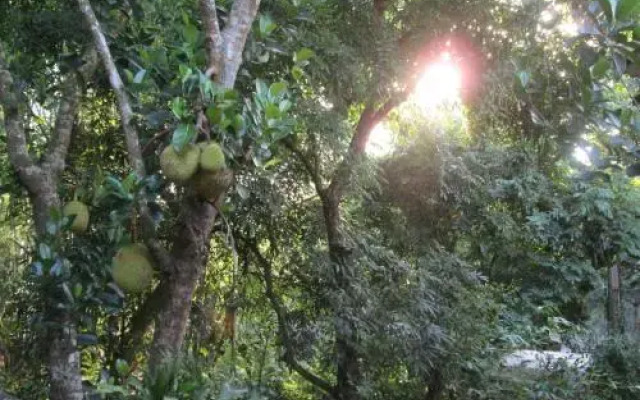 Mai Chau Hostel - Bar Restaurant