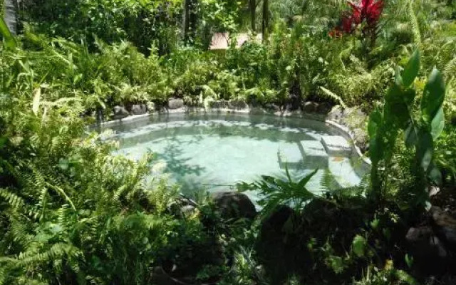 Thermal Paradise Villa