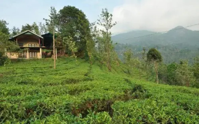 Tea Garden Holiday Home