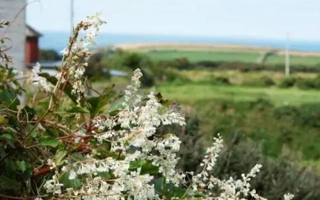 Hafan Penrhyn