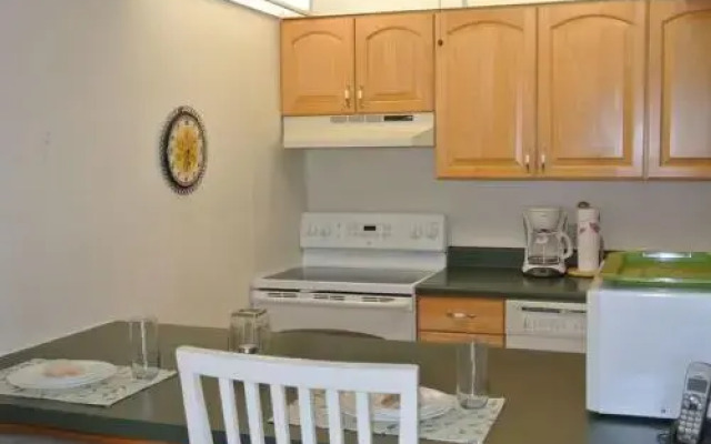 Dolphin Way B-204
