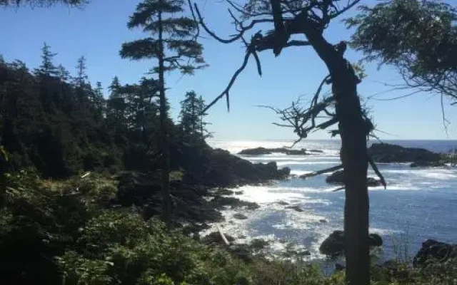 The Lighthouse Bed and Breakfast