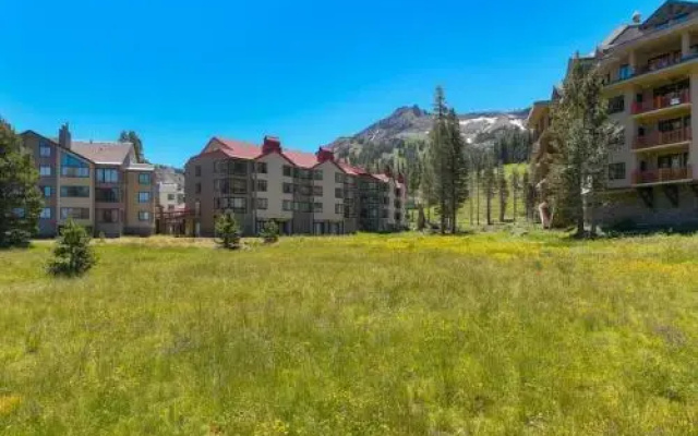 Sun Meadows