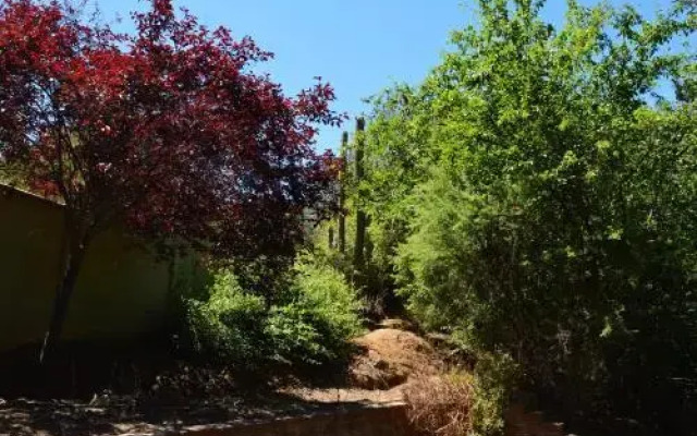 Campesano Ranch Cabañas