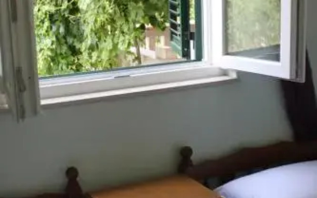 Oasis Apartments