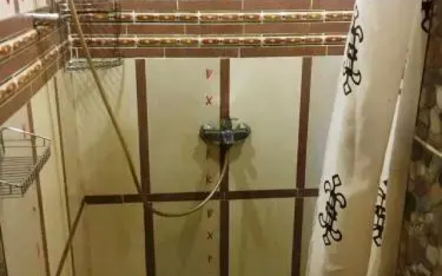 Dom s baney na drovah