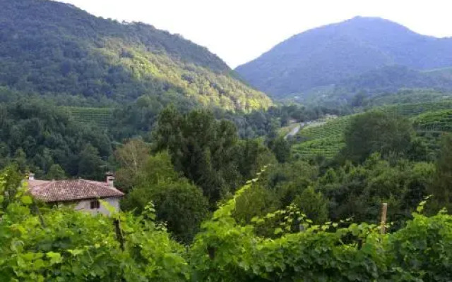 B&B Casa di Campagna