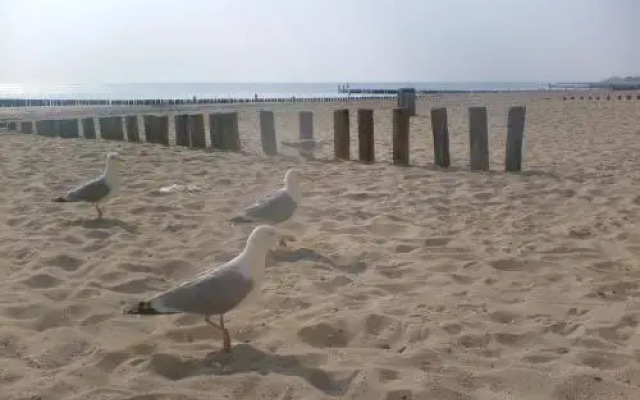 Vakantieverblijf Uit en Thuis