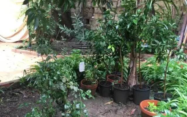Il Giardino di Daphne