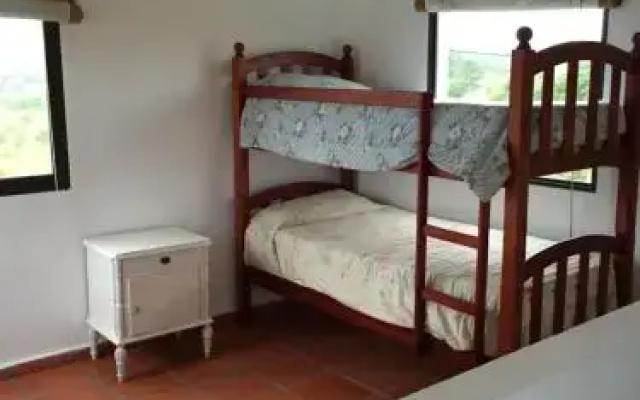 Palalo