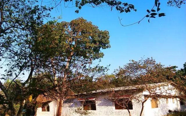 Botanic Country House Zanzibar