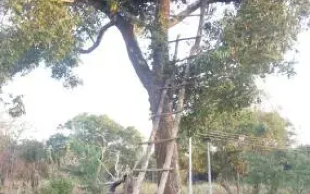 Gaja Resort Sigiriya