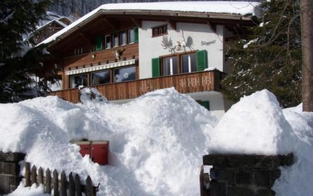 Chalet Berggeist Adelboden Wohnung 1