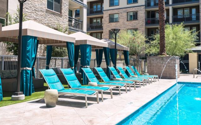 Stay Alfred on 16th Street