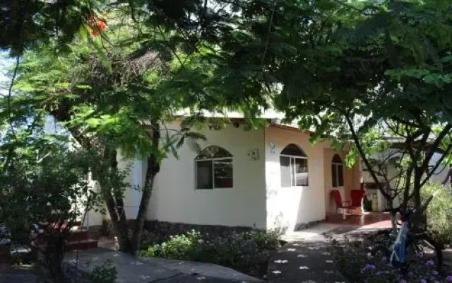 The Finch House (La Casa del Pinzón)